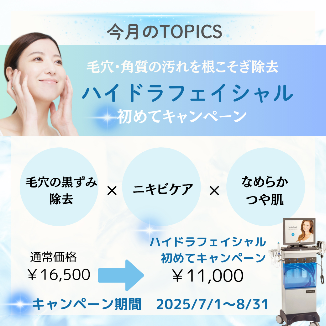 ガウディスキン (GAUDISKIN)